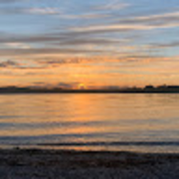 Meet your Posher, Evelyn - Picture 1 of 1